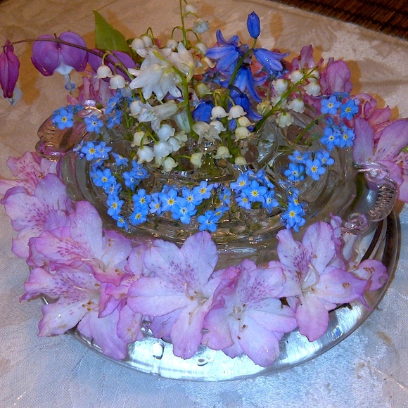 Meet your Posher, Tamara - Picture 1 of 1